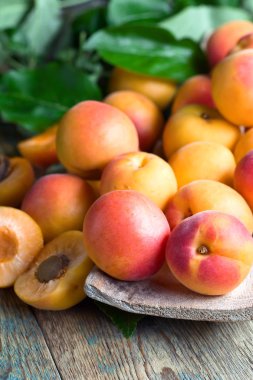 eski ahşap masa yapraklarda ile kayısı . 