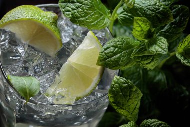 Soğuk içecek ile buz, kireç dilimleri ve nane yaprakları.