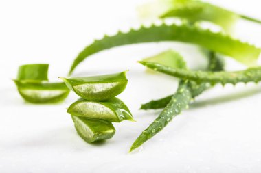 Beyaz arka plan üzerinde ıslak Aloe Vera bırakır.