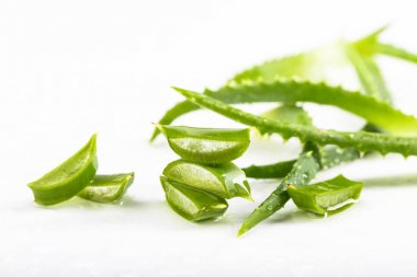 Beyaz arka plan üzerinde ıslak Aloe Vera bırakır.