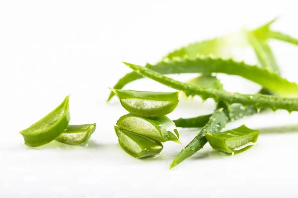 Nasse Aloe Vera Blätter auf weißem Hintergrund. — Stockfoto