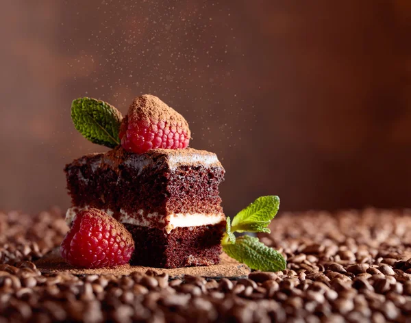 Nahaufnahme von Schokoladenkuchen mit Himbeere und Minze . — Stockfoto