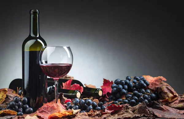 Botellas de vino tinto, uvas y hojas de vid seca  . — Foto de Stock