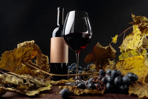 Botella y copa de vino tinto sobre una mesa con hojas de vid secas a —  Fotos de Stock