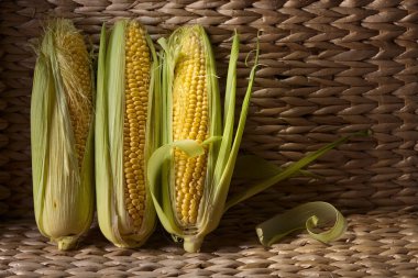 Taze tatlı mısır koçanı üzerinde .