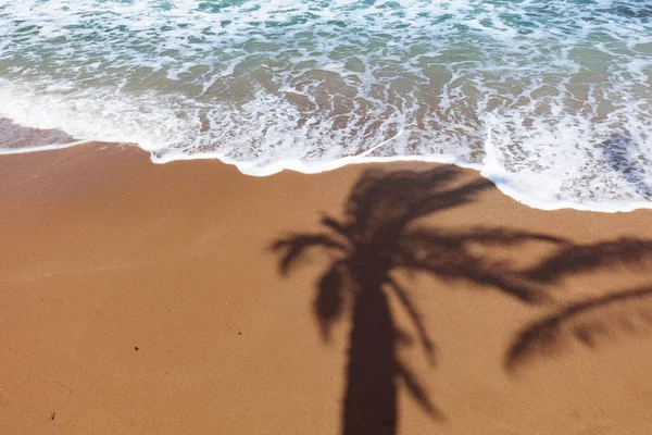 Нетронутый тропический пляж с пальмами в тени на песке . — стоковое фото