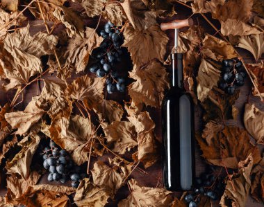 Tirbuşonlu kırmızı şarap şişesi. Bir masada kurutulmuş asma yaprakları 