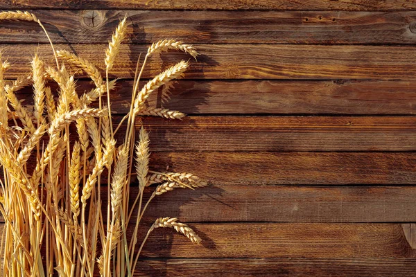 Wheat on a rustic wooden background in sunset light, overhead vi — Stock Photo, Image