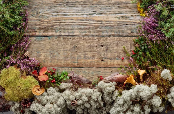 Oude houten achtergrond met verschillende noordelijke planten en bessen — Stockfoto