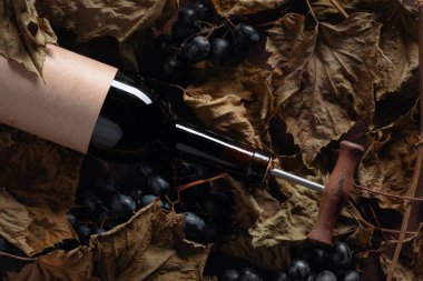 Tirbuşonlu kırmızı şarap şişesi. Bir masada kurutulmuş asma yaprakları 