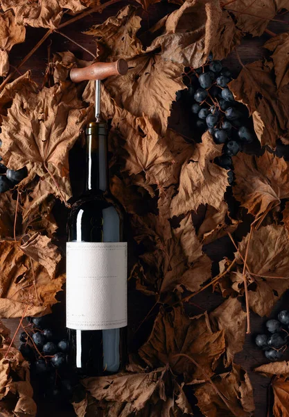 Bouteille de vin rouge avec tire-bouchon. Sur une table feuilles de vigne séchées — Photo