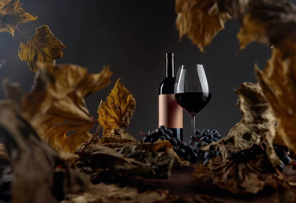 Vino rosso su un tavolo con foglie di vite appassite e uva blu . — Foto Stock