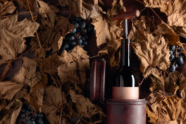 Flaska rött vin på ett bord med torkade vinblad och blå gr — Stockfoto