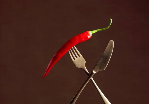 叉子上的辣椒红辣椒。 香料概念. — 图库照片