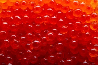 Kırmızı havyar mackro vurdu .