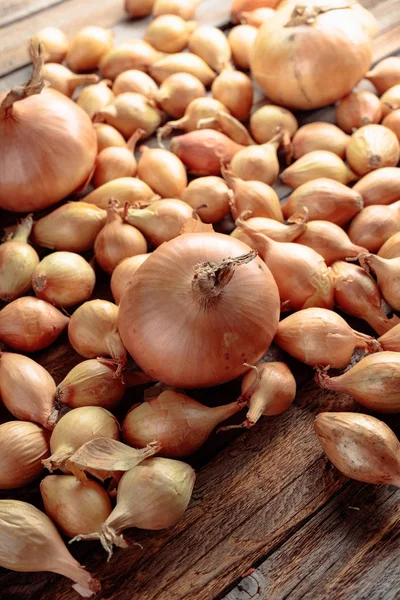 Eski ahşap bir masa üzerine soğan. — Stok fotoğraf