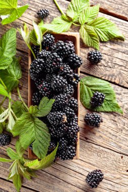 böğürtlen yaprakları eski ahşap bir masa ile.