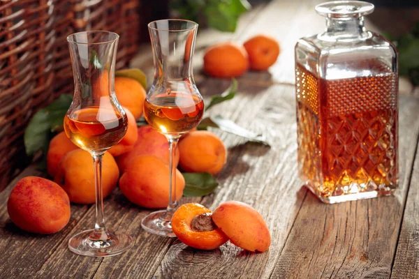 Liquore di albicocche e albicocche fresche . — Foto Stock