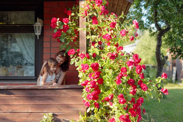 外孙女和祖母在村屋的阳台上 阳光明媚的夏日夜晚在村庄 一起快乐的家庭时光 代代理念 — 图库照片
