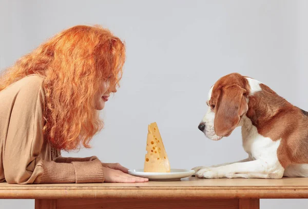 漂亮的红头发女人和一只小猎犬坐在桌旁 看着一块奶酪 — 图库照片