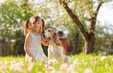 Güneşli bir yaz gününde, papatyalı bir çimenlikte bir Beagle ile dört yaşında bir kız. Doğada aktif dinlenme.