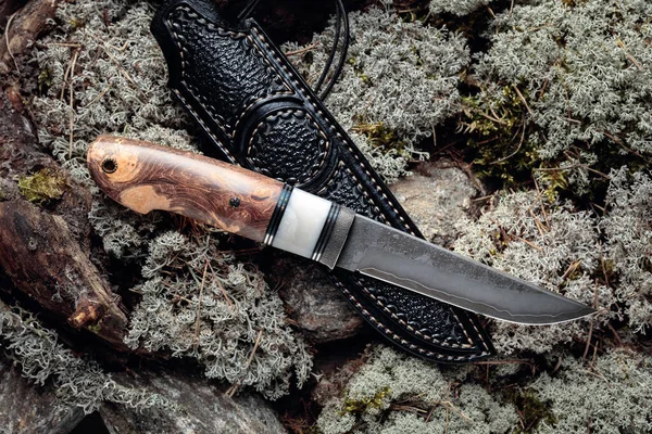 Jäger Bekämpfen Handgefertigtes Messer Mit Etui Auf Einem Moos Wald — Stockfoto