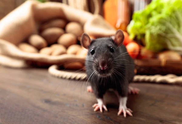 Råtta Ett Gammalt Träbord Med Grönsaker Och Köksredskap — Stockfoto