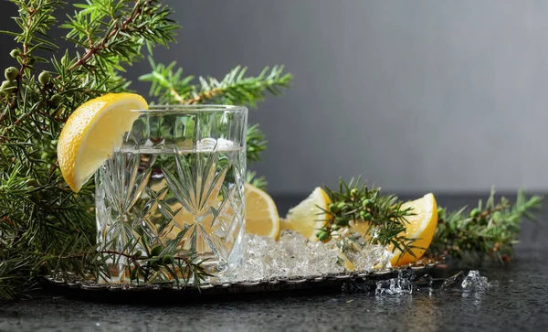 Bebida Carbonatada Con Rodajas Limón Una Ramita Enebro Copia Espacio — Foto de Stock