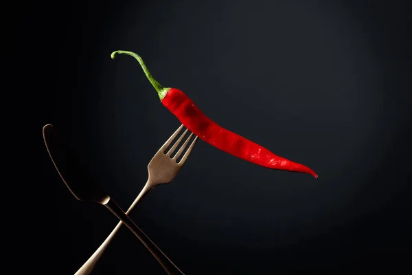 Pimienta Roja Picante Tenedor Concepto Especias Copiar Espacio — Foto de Stock