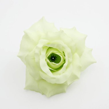 Yapay çiçek tomurcukları