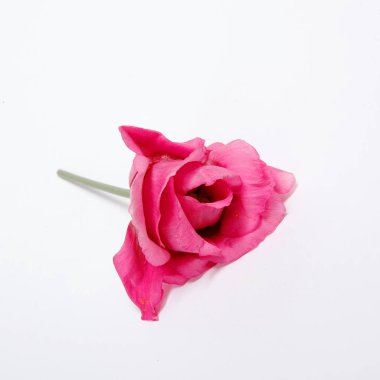 bir model Pembe çiçek