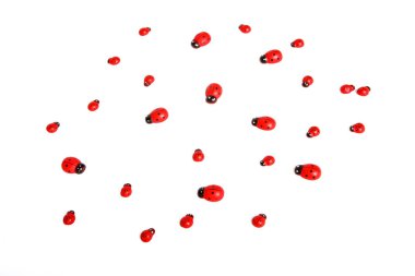 beyaz izole ladybugs topluluğu