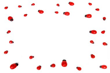 beyaz izole ladybugs topluluğu