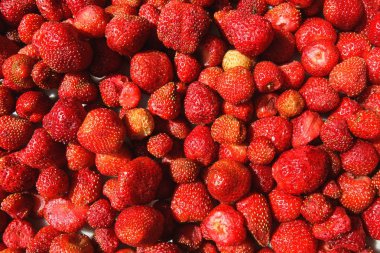 Çilek kökenli. Çilek çok