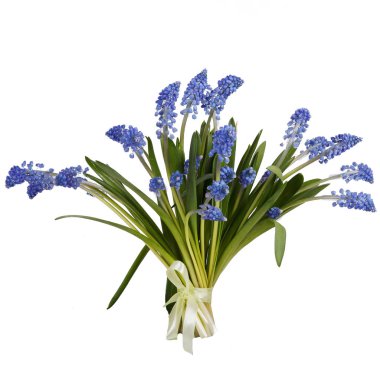 Beyaz izole muscari buket