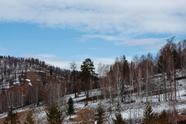 Kışın dağ manzarası