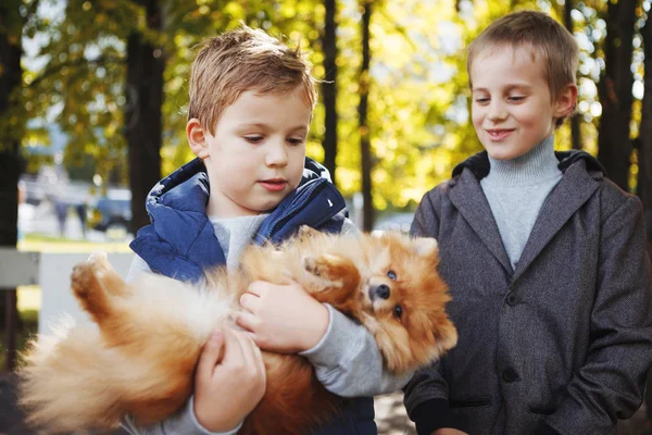 Engraçado meninos brincando com o cão no parque — Fotografia de Stock