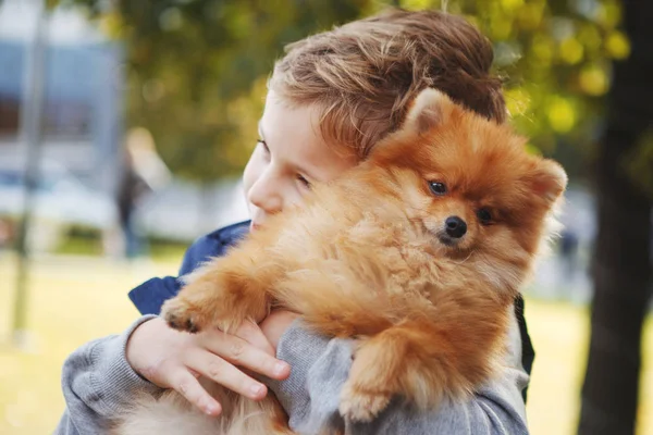 Rolig liten pojke leker med hunden i parken — Stockfoto