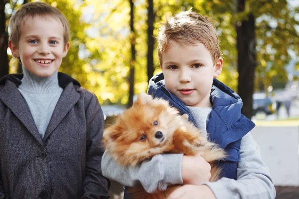 Roliga små pojkar som leker med hunden i parken — Stockfoto