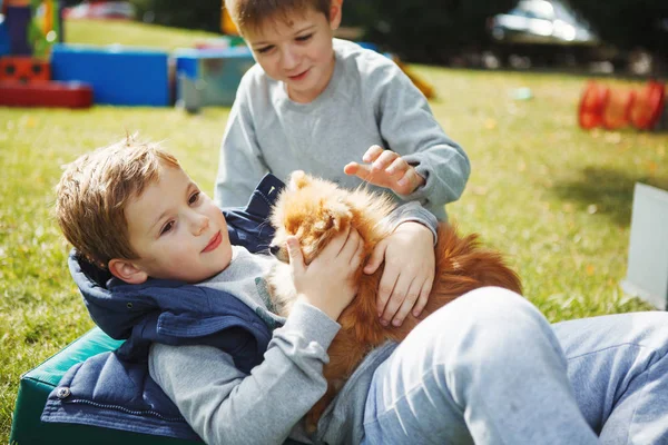 Niños divertidos jugando con el perro en el parque — Foto de Stock