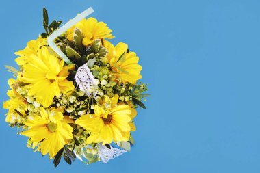 Mavi ahşap bir masa üzerinde sarı kasımpatı çiçekleri. Kopya alanı.