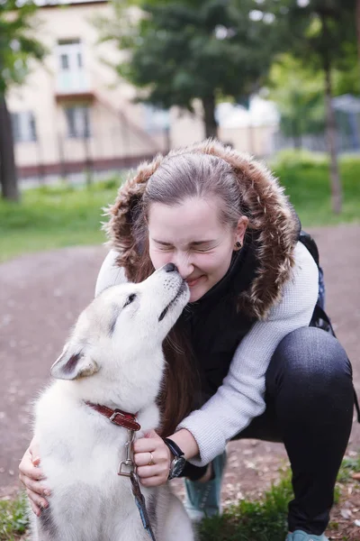 Портрет красивой молодой женщины с хаски собака, которая лижет ее лицо — стоковое фото