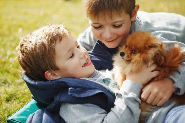 Engraçado meninos brincando com o cão no parque — Fotografia de Stock