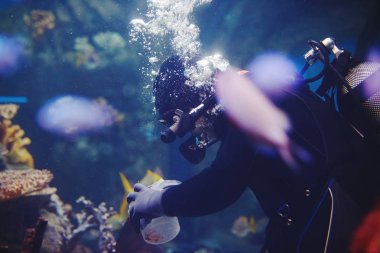 Akvaryum renkli balıklar karanlık derin mavi su ile aqualunger