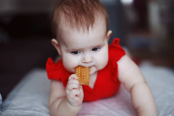 Un lindo bebé en un vestido rojo —  Fotos de Stock