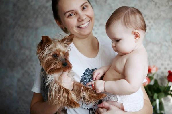 Bella giovane madre con yorkshire cane e bambino sorridente un — Foto Stock