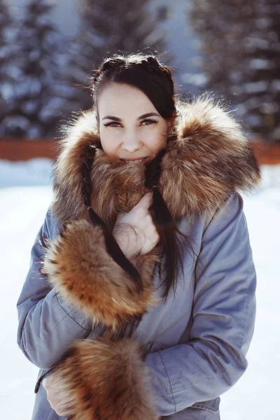 Krásná brunetka s dvěma copánky v modrém kabátě s límcem hnědá načechraná kožešina v zimě na přírodu. Zasněžené smrk na pozadí. — Stock fotografie