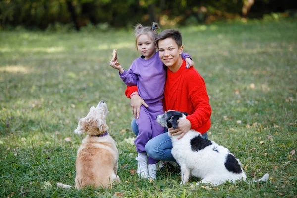 Família Jovem Mãe Filha Estão Andando Parque Com Cães — Fotografia de Stock