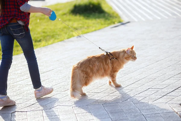 Chica Adolescente Con Gato Rojo Maine Coon Parque Ciudad —  Fotos de Stock