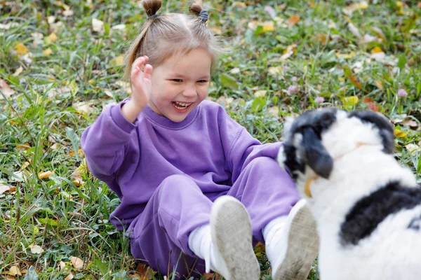 Kislány Lila Öltönyben Kutyával Egy Nyári Parkban — Stock Fotó